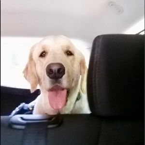 Meet your Posher, Cole